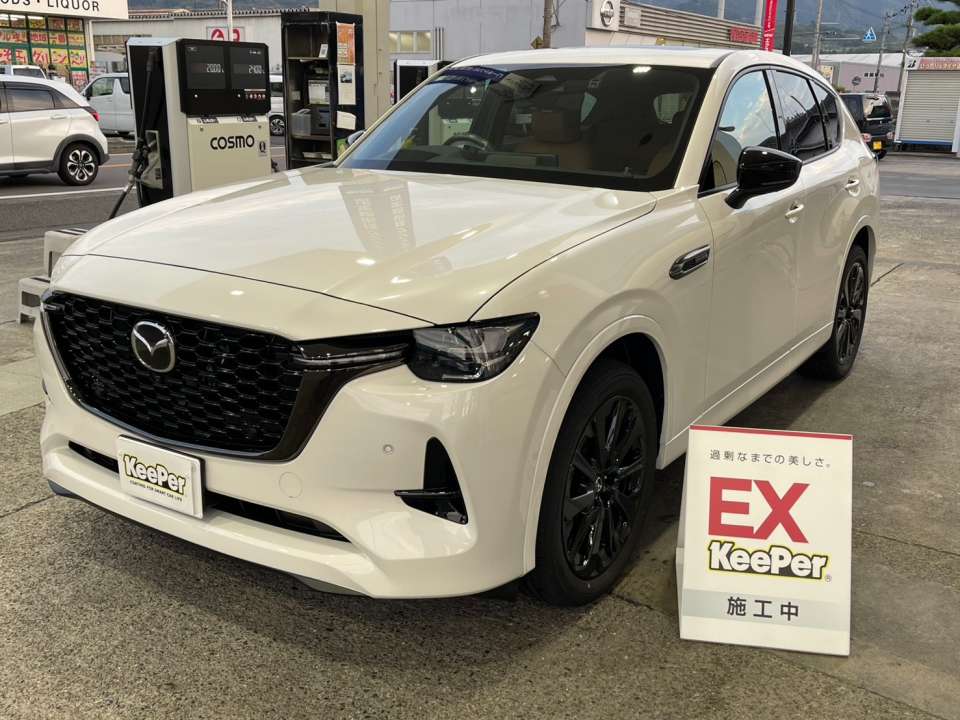 フッ素ガラスコーティング全面