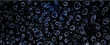 一般的なボディガラスコーティング