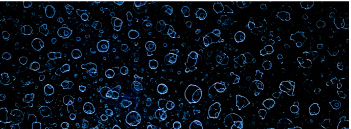 水シミ・ウォータースポット除去の施工イメージ