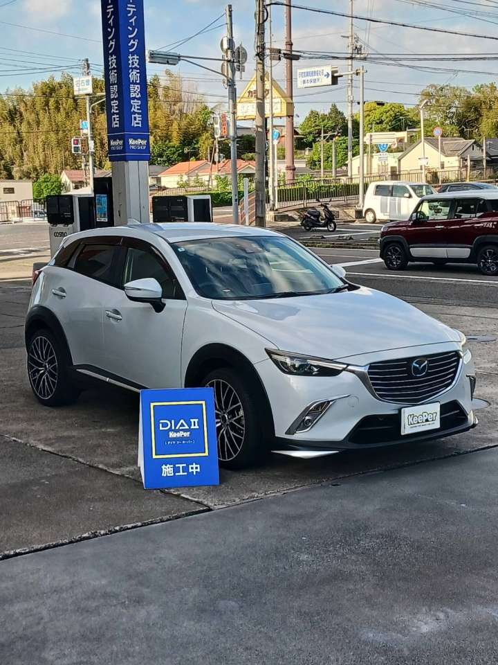 ダイヤⅡキーパーは後悔する？