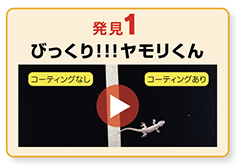 発見1 びっくりヤモリくん